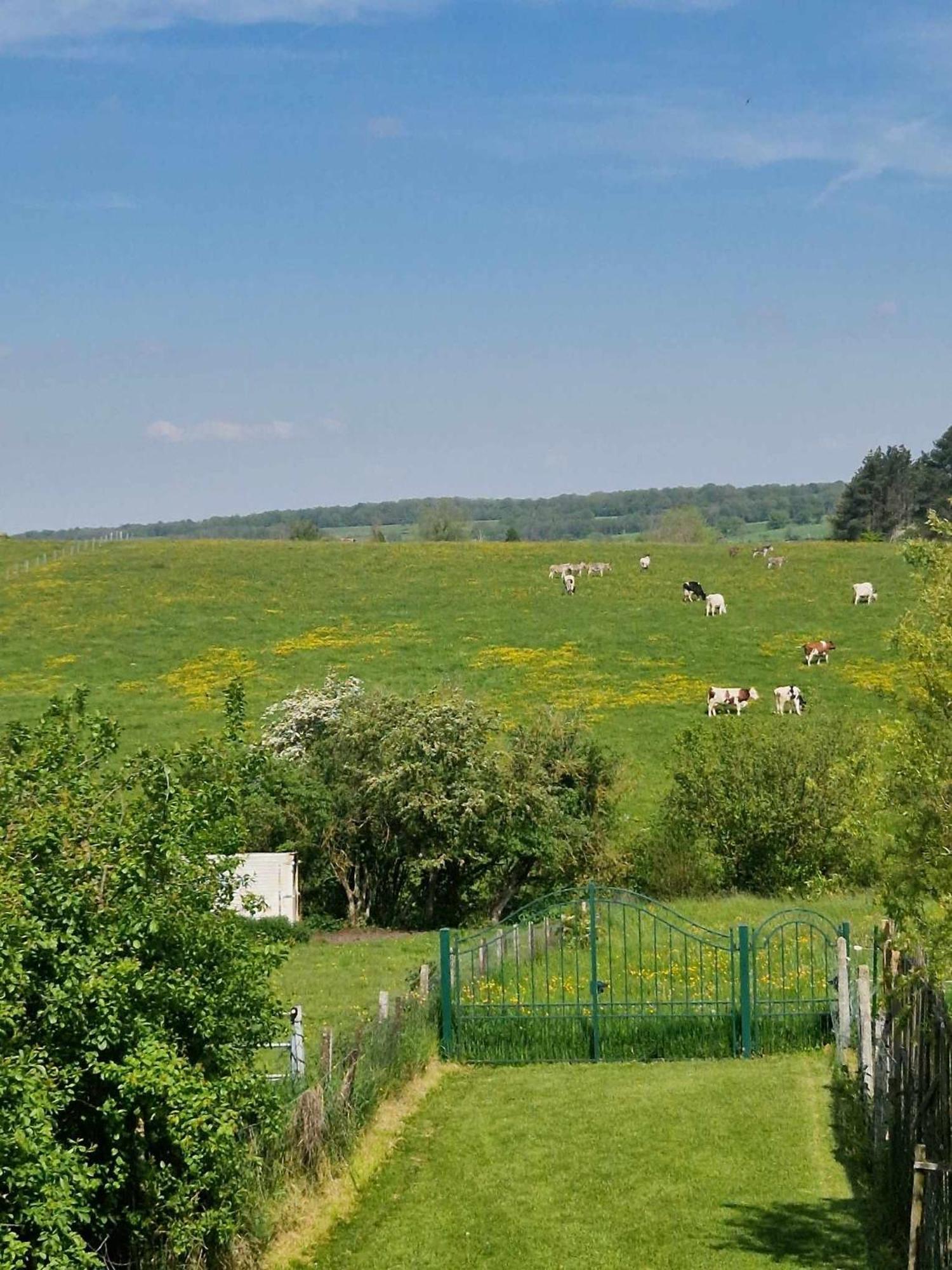 Gites Paille-Foin Cerfontaine Esterno foto