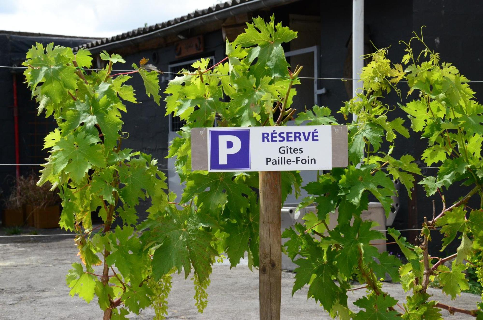 Gites Paille-Foin Cerfontaine Esterno foto